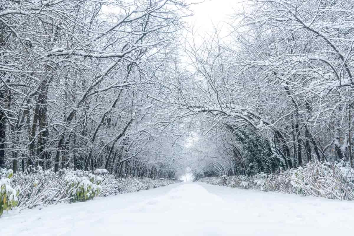 tanitim-filmi-cekimi-nedir-en-etkili-tanitim-filmi-cekimi-nasil-yapilir